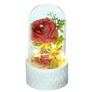 yΖӃZ[zyԁz勴VX/LEDt[ h[/44-110y01z ԁiA[eBtBVt[j ԃMtg t[AW