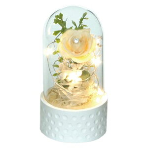 yԁz勴VX/LEDt[ h[/44-111y01z ԁiA[eBtBVt[j ԃMtg t[AW