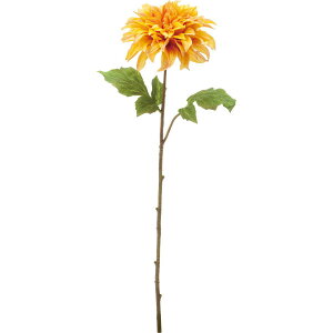 yԁzYDM/~[Y_A CG[IW/FA-7246-YORy01z ԁiA[eBtBVt[j  ԍށusv _A