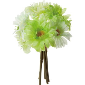 楽天市場 ガーベラ グリーンの通販