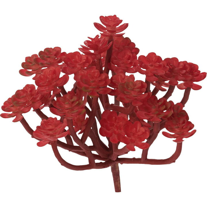 造花 Ydm ミニラウンドエケベリアピック ｇ ｒ Fg 5104 G R 造花葉物 フェイクグリーン 多肉植物 84 以上節約