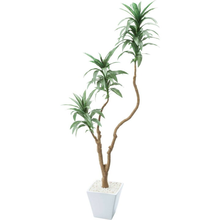 楽天市場 直送 人工観葉植物 Ydm ドラセナコンパクタポット グリーン Gla 1471 Gr 返品 代引不可 01 造花 アーティフィシャルフラワー 人工観葉植物 高さ 150cm 花材通販はなどんやアソシエ