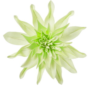 yԁzYDM/_AwbhfRM MIN/PDS-9329y01z ԁiA[eBtBVt[j  ԍށusv _A