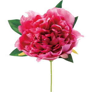 yԁzYDM/sIj[sbN r[eB[/FA-7258-BTYy01z ԁiA[eBtBVt[j  ԍށusv VNNi䉖jE{^iOjEsIj[