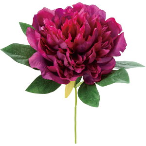 yԁzYDM/sIj[sbN p[v/FA-7258-PUy01z ԁiA[eBtBVt[j  ԍށusv VNNi䉖jE{^iOjEsIj[