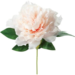 yԁzYDM/sIj[sbN T[/FA-7258-SAy01z ԁiA[eBtBVt[j  ԍށusv VNNi䉖jE{^iOjEsIj[