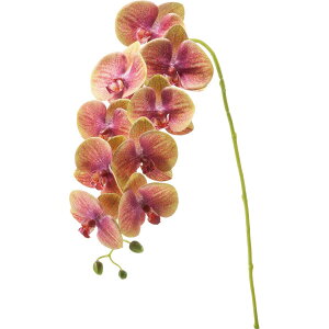 yԁzYDM/R`E O[x_[/FA-7203-G/Ly01z ԁiA[eBtBVt[j  ԍށusv R`EiӒj