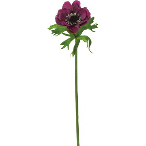 yԁzYDM/tbVAll _[Np[v/FA-6926-DPUy01z ԁiA[eBtBVt[j  ԍށusv All