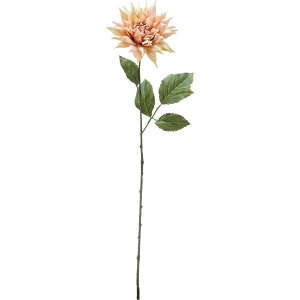 yԁzYDM/VO_A T[/FA-7237-SAy01z ԁiA[eBtBVt[j  ԍށusv _A