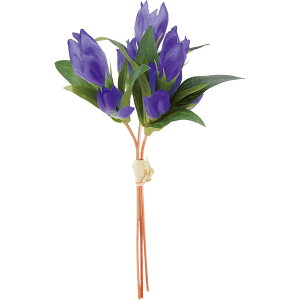 yԁzYDM/hEoh _[Nu[/FS-8306-DBLy01z ԁiA[eBtBVt[j  ԍށusv hE