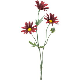楽天市場 花 ガーデン Diy 種類 植物 マーガレット の通販