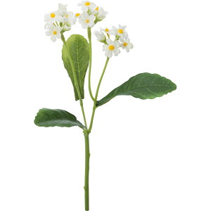 yԁzYDM/XiOT N[/FFH-0050-CRy01z ԁiA[eBtBVt[j  ԍށusv Yȑ