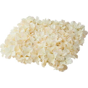 yԁzYDM/nChWA}bg AC{[/FA-7266-IVOy01z ԁiA[eBtBVt[j  ԍށusv izԁj