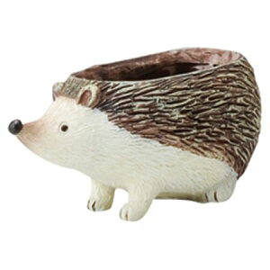 FV/veBbg{u|bgS/5E3398y01z ԊA[X ԊEԕr Ԋ