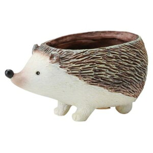 FV/veBbg{u|bgM/5E3402y01z ԊA[X ԊEԕr |WԊ