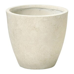 Aؔ  FV/Ju[YT[NS/GF5016y01z K[fjOE|pi t[|bg OXt@Co[