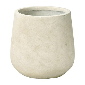 Aؔ  FV/Ju[YEhSGY/GF5020y01z K[fjOE|pi t[|bg OXt@Co[