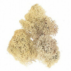 yvU[uhzH|/CfBAX@@i`/165-11-1y01z vU[uht[ vU[uhO[ XE