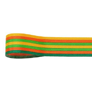 R{/veB[E[} 21mm×20m #010/3164-10y01z { fUC{ ̑̃fUC{