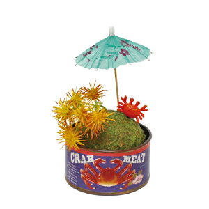 盆栽 夏 ホビーの人気商品 通販 価格比較 価格 Com