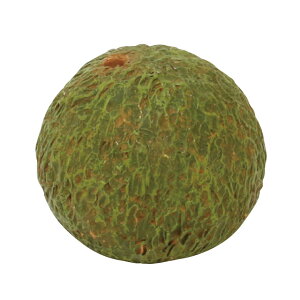 yԁzۘaf/͂ɉ ۋ (L) /400869001y07z ԁiA[eBtBVt[j ԗtAtFCNO[ ہAX