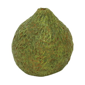 yԁzۘaf/͂ɉ ۋ (L) /400869002y07z ԁiA[eBtBVt[j ԗtAtFCNO[ ہAX