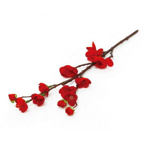 yΖӃZ[zyԁzۘaf/͂ɉ ~ bh/400869101y07z ԁiA[eBtBVt[j  ԍށusv Ei~j