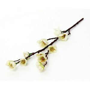 yΖӃZ[zyԁzۘaf/͂ɉ ~ zCg/400869102y07z ԁiA[eBtBVt[j  ԍށusv Ei~j