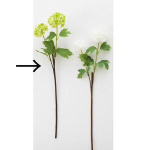 yԁz{uNtg/ro[i O[/19003Gy01z[3] ԁiA[eBtBVt[j  ԍށu͍sv ro[i