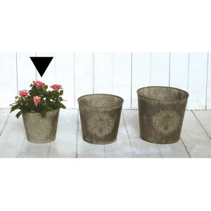 Aؔ  哯Ntg/19ۃuL|bgS/WTF19-R15Sy01z[4] K[fjOE|pi t[|bg ACAEuL