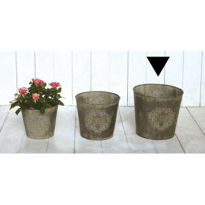 Aؔ  哯Ntg/19ۃuL|bgL/WTF19-R20Ly01z[4] K[fjOE|pi t[|bg ACAEuL