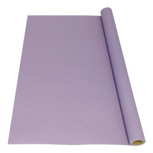 HOSHINO/EJBEJ@ NOD21 iEJBNgAp[vj 80x15/331241y07z bsOpi A bsOy[p[() aEN[v