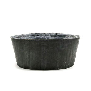 EU/AeB|NEbh 񂹔 O|/BC-11722y07z ԊA[X ԊEԕr ؐԊ