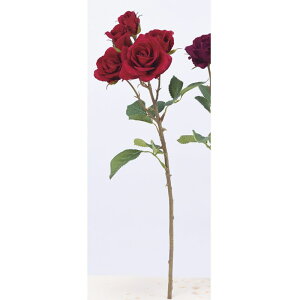 yԁzAXJ/[Y×3 ڂ×2 #002 bh/A-33762-2y01z ԁiA[eBtBVt[j  ԍށu͍sv o