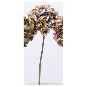 yԁzAXJ/nChWA #038G XgO[/A-33797-38Gy01z ԁiA[eBtBVt[j  ԍށusv izԁj