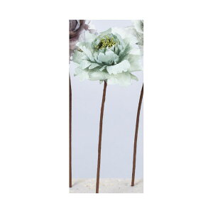 yԁzAXJ/sIj[sbN #059S V[tH[O[/A-33766-59Sy01z ԁiA[eBtBVt[j  ԍށusv VNNi䉖jE{^iOjEsIj[