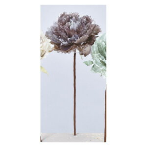 yԁzAXJ/sIj[sbN #055D _XeB[u/A-33768-55Dy01z ԁiA[eBtBVt[j  ԍށusv VNNi䉖jE{^iOjEsIj[