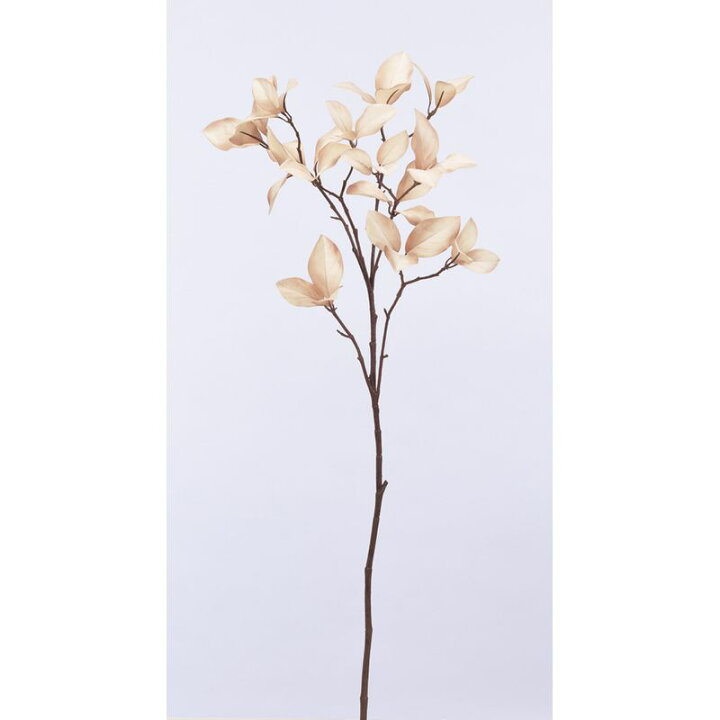 楽天市場 造花 アスカ ドウダンツツジ ラメ付 091p アイボリーピンク A 91p 01 取寄 造花 アーティフィシャルフラワー 造花枝物 ドウダンツツジ 手作り 材料 花材通販はなどんやアソシエ 楽天市場 造花 アスカ ドウダンツツジ ラメ付 091p アイボリーピンク A 91p 01 取寄 造花 アーティフィシャルフラワー 造花枝物 ドウダンツツジ 手作り 材料 花材通販はなどんやアソシエ