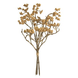 楽天市場 ベージュ 花 観葉植物 花 ガーデン Diy の通販