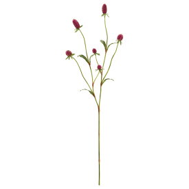 楽天市場 千日紅 造花の通販