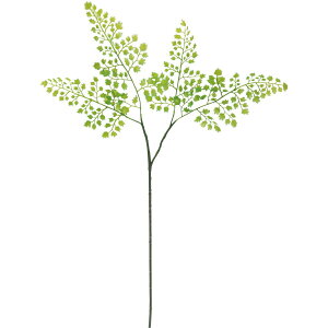 yԁzYDM/AWA^Xv[/FG-5045-GRy01z ԁiA[eBtBVt[j ԗtAtFCNO[ t@[