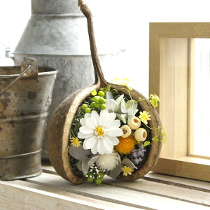 ͂ȂǂLbg/ub_ibc̃AWLbgy10z hCt[ hCt[c ؂̎