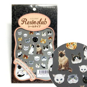 WNu/L []/RC-CAT-101y10z |pi W WpF܁EV[EOb^[  ޗ