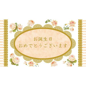 `LEO[eBOX/MtgJ[haG|654 50}Cy01z bsOpi A bZ[WJ[h aEo[Xf[J[h