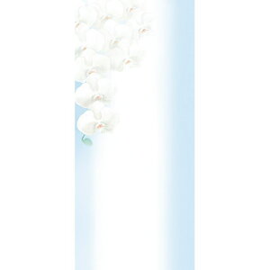 `LEO[eBOX/BPSDJ[h BPS|19 20}Cy01z bsOpi A bZ[WJ[h O[eBOJ[h