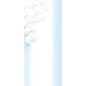 `LEO[eBOX/LPSDJ[h LPS|19 20}Cy01z bsOpi A bZ[WJ[h O[eBOJ[h