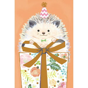 `LEO[eBOX/GufCJ[hG250|308 1}Cy01z[5] bsOpi A bZ[WJ[h O[eBOJ[h