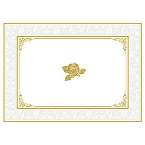 `LEO[eBOX/GufBJ[hG320|504 1}Cy01z[5] bsOpi A bZ[WJ[h O[eBOJ[h