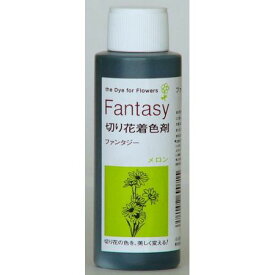 パレス化学/ファンタジー 100ml メロン/1520211【07】【取寄】 花資材・フローリスト道具 生け花・生花 道具 切花着色剤