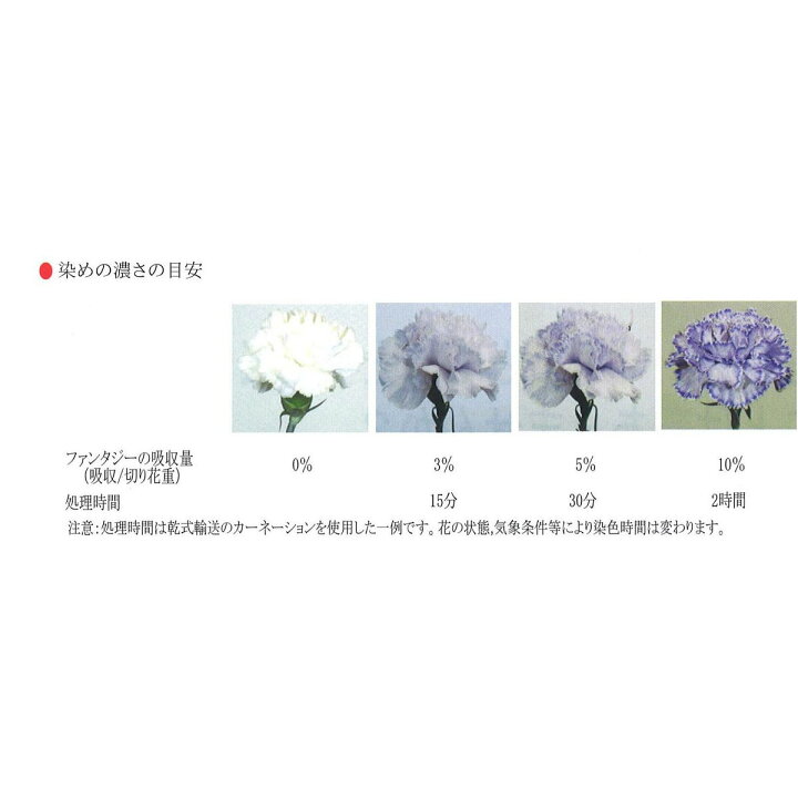 楽天市場 即日 パレス化学 ファンタジー 100ml オレンジ 157 花資材 道具 生花用資材 切花着色剤 花材通販はなどんやアソシエ 楽天市場 即日 パレス化学 ファンタジー 100ml オレンジ 157 花資材 道具 生花用資材 切花着色剤 花材通販はなどんやアソシエ